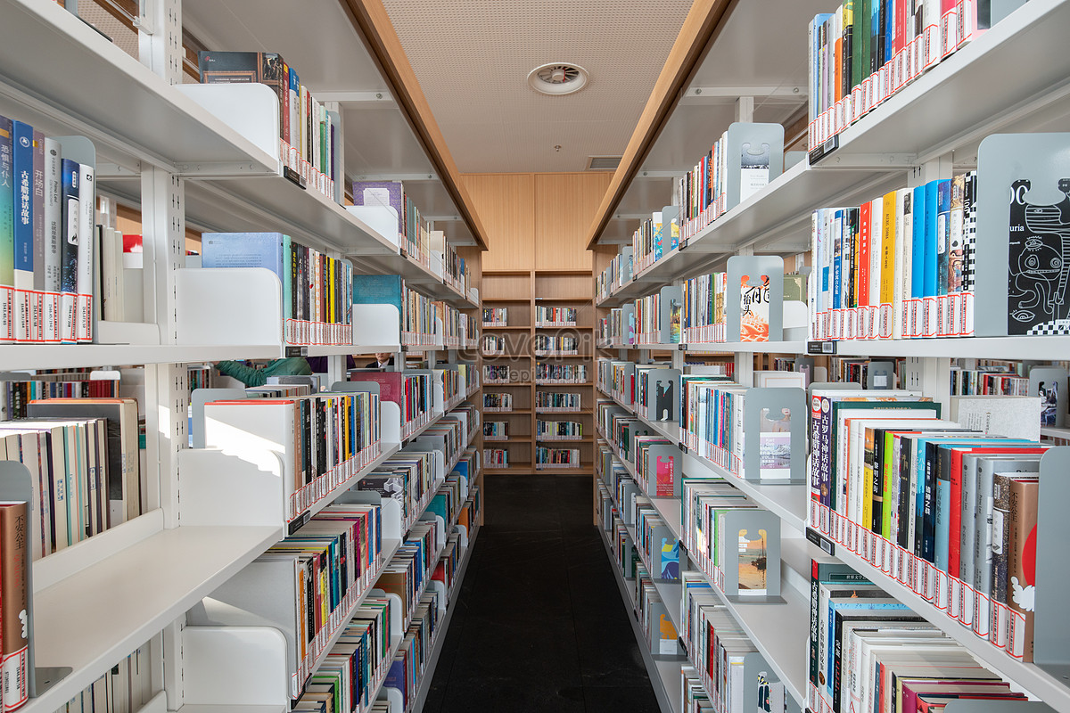 Intérieur de la librairie